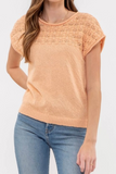 Eyelet Knit Sweater Top