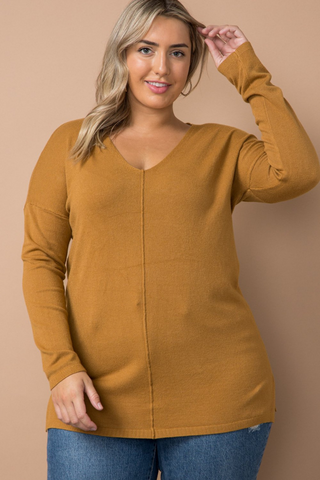 Plus Size, Soft Knit V-Neck Sweater (Camel)